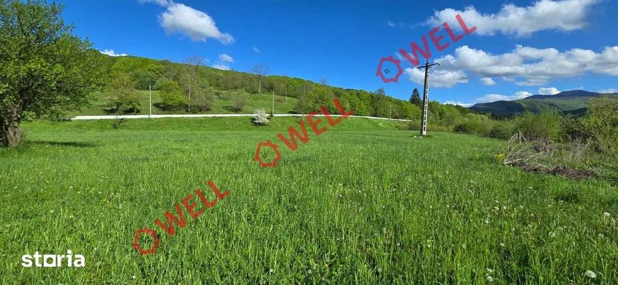 Teren de 6500 mp, în Sita Buzăului
