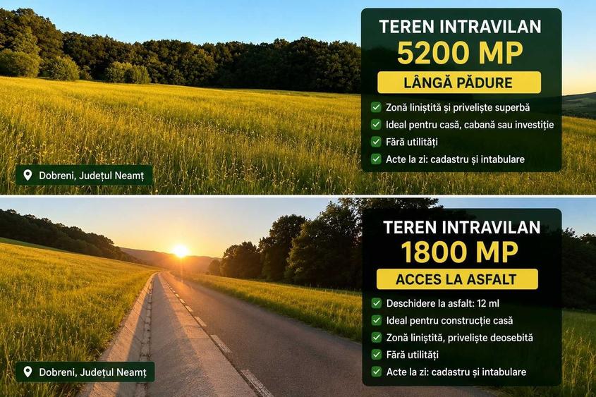 Spațiu comercial, în Dobreni