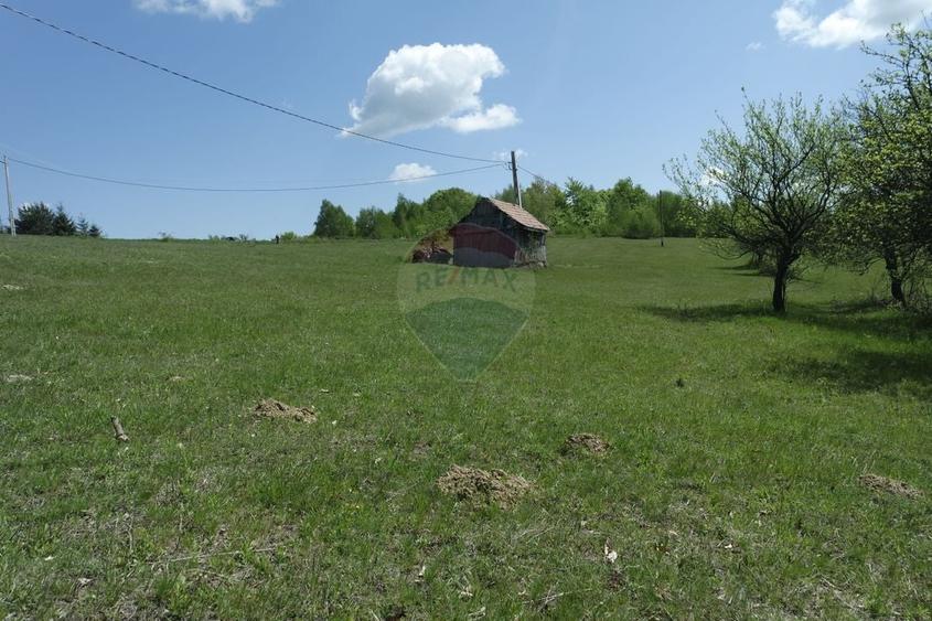 Teren extravilan de 15726 mp, în Preluca Nouă