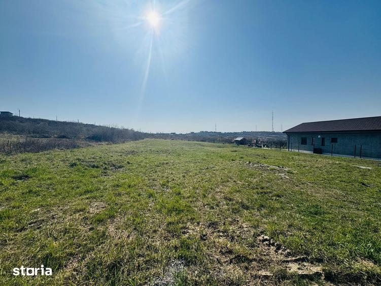 Teren Intravilan 1000 mp Dealuri - Oradea - 1