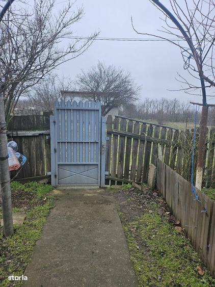 Comuna Valcelele, Strada Mircea cel Batran, Jud. Calarasi - 17