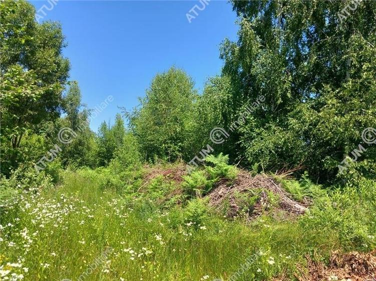 Teren Construcții intravilan de 500 mp, în Porumbacu de Sus