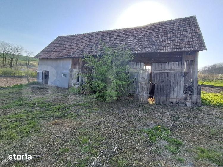 Casă cu 4 camere cu Teren 15000 Mp în Bichiș