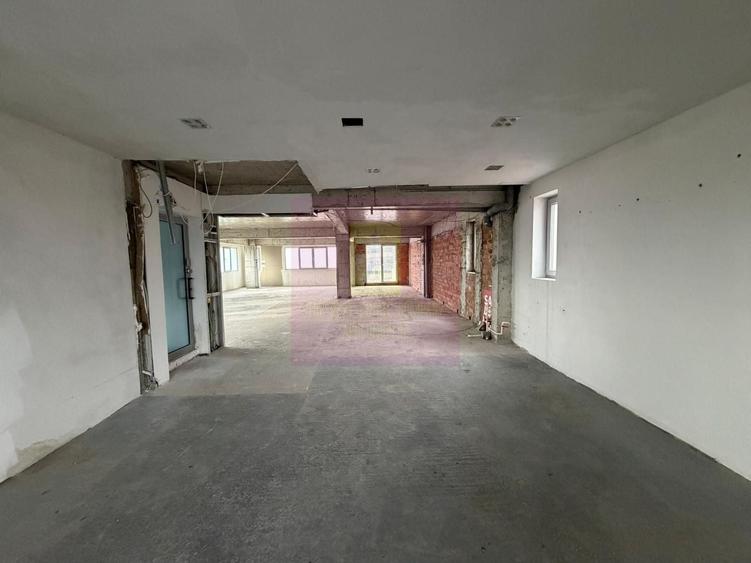Proprietate specială, de 800 mp, în Theodor Pallady