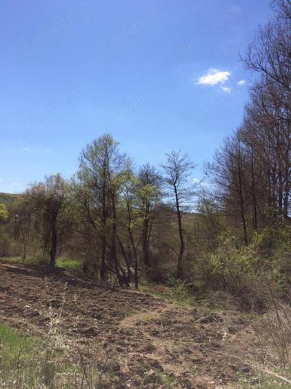 Proprietar,Teren Valea Ursului la 5km de Pitesti - 5