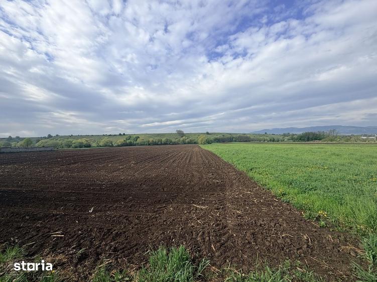 Teren de 3770 mp, în Central