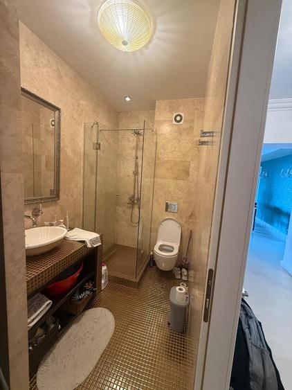 Inchiriere 4 camere Central Park - 1