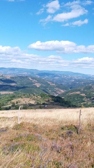 Teren de 1200 mp, în Central