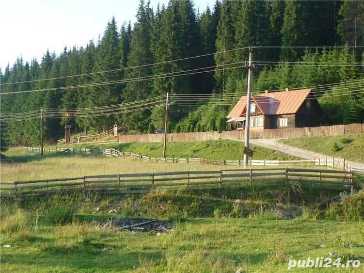 Teren de 3000 mp, în Poiana Horea