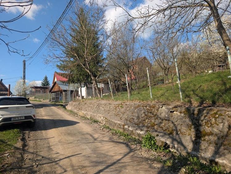 Teren de vanzare Valea Jelnii langa asfalt - 8