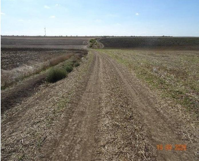 Teren extravilna Cota parte 1/16, CObadin, ID: R2782865 - 2