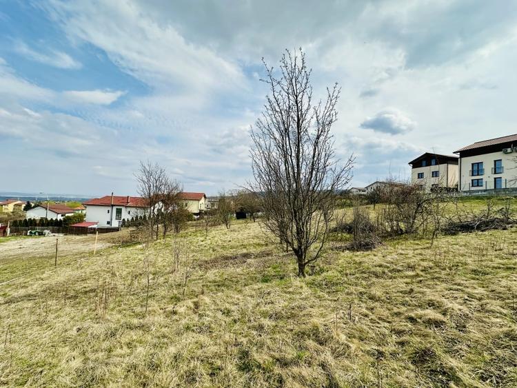 Teren Construcții intravilan de 655 mp, în Europa
