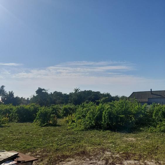 Casa de vanzare Sat Lunca, jud.Tulcea - 5