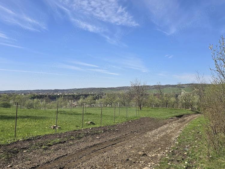 Teren extravilan 2500 mp Izvoarele Jud . Prahova - 3