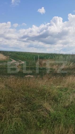 Teren agricol extravilan de 10000 mp, în Cristian