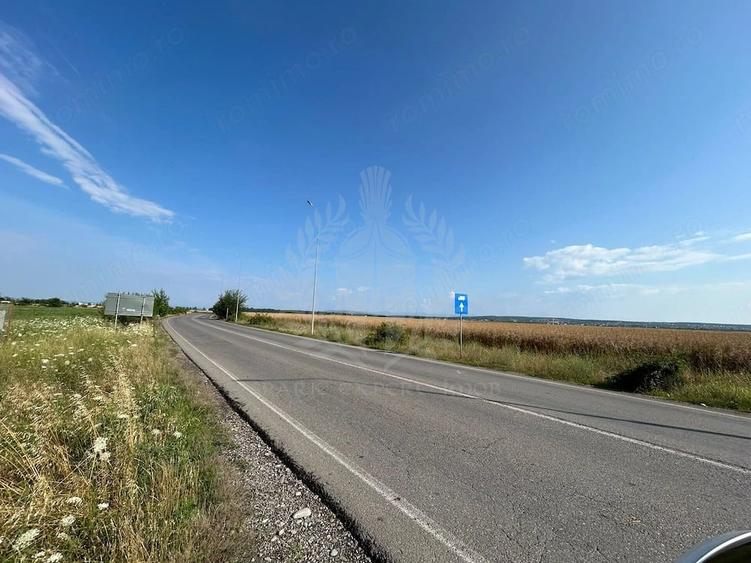Teren de 3000 mp, în Albert
