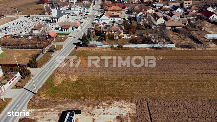 Teren intravilan cu PUZ str Albinelor Stupini - 5