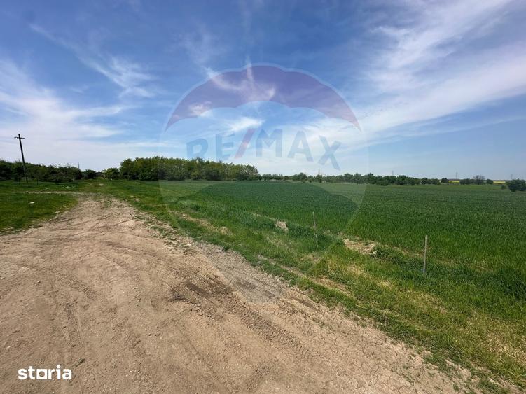 Teren de 545000 mp, în Dragomirești-Vale