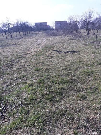 Teren de 1745 mp, în Ianova