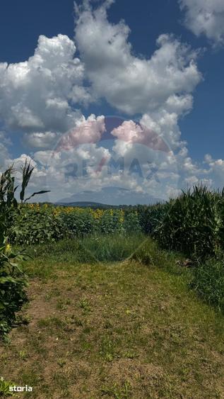 Teren de 6000 mp, în Costâna