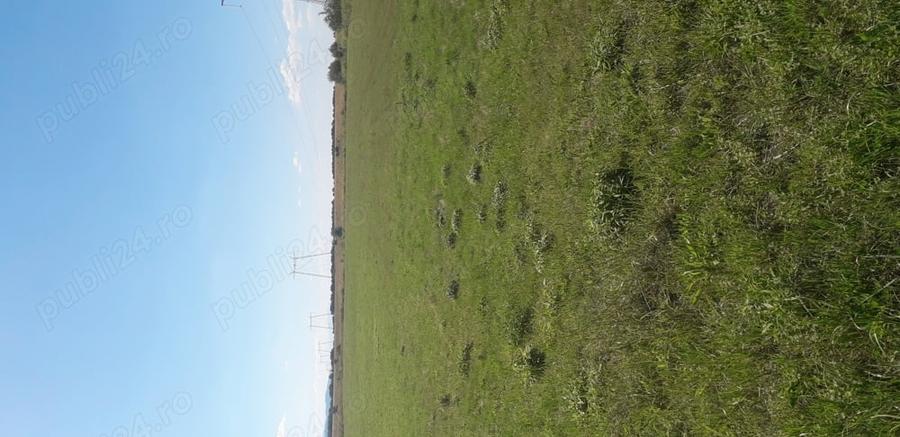 Teren de 27000 mp, în Drăguș