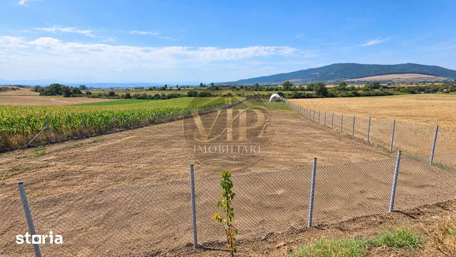 Teren de 2900 mp, în Ighiu