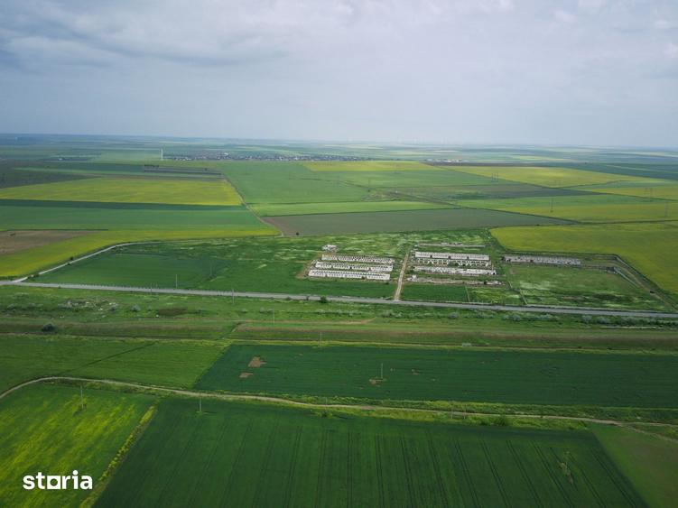 Teren de 106000 mp, în Poarta Albă