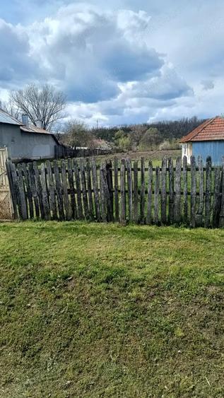 Teren de 4629 mp, în Negreni