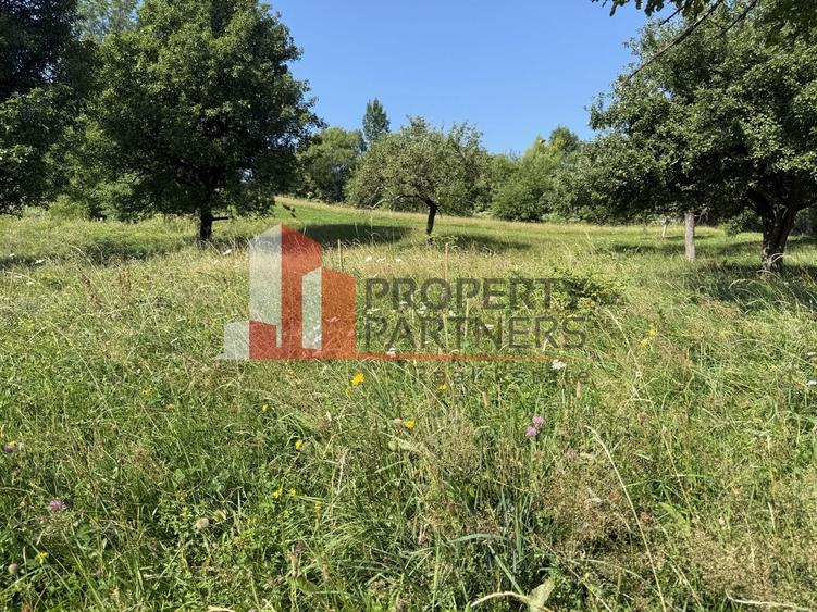 Teren Construcții intravilan de 5075 mp, în Bran