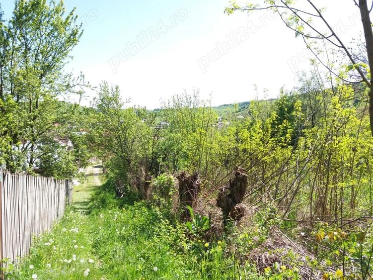 Teren de 2641 mp, în Viforâta