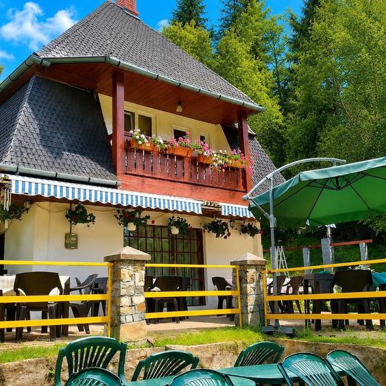 Casă cu 6 camere cu Teren 4600 Mp în Tarcău