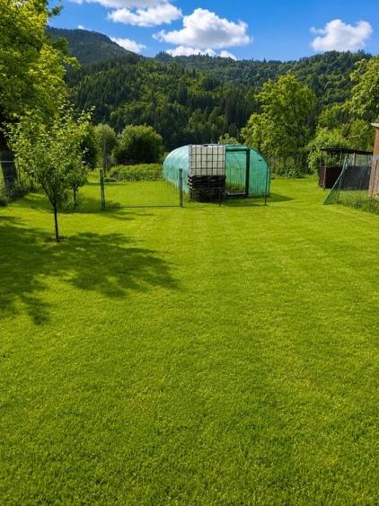Casă individuală cu 5 camere cu Canalizare în Poiana (Grințieș)