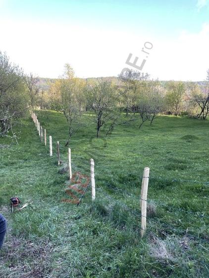 Teren Construcții intravilan de 7280 mp, în Mihăești