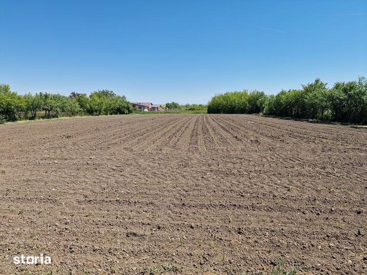 Vand Casa si Teren 4780 m2 - 3