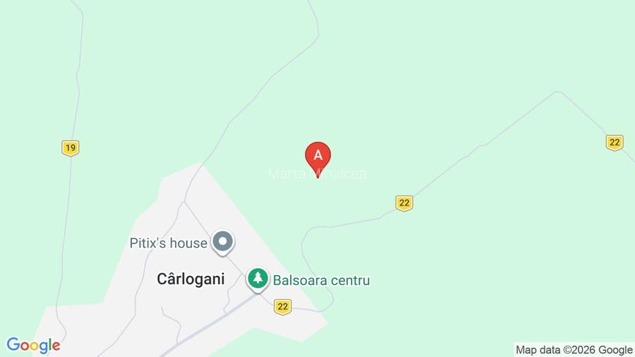 Casă cu 2 camere cu Teren 4400 Mp în Cârlogani