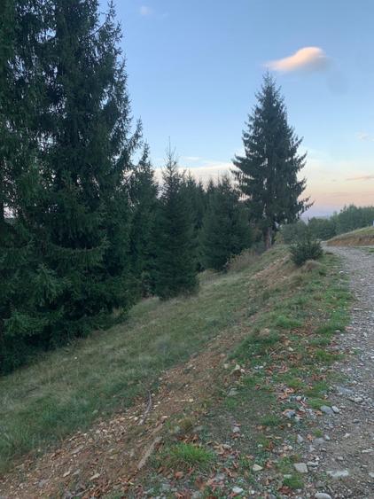 Teren agricol extravilan de 5000 mp, în Glod