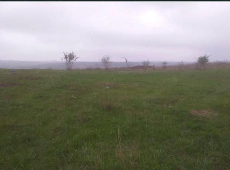teren dorohoi botosani - 1