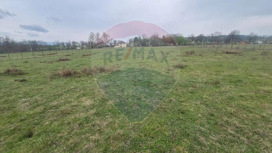 Teren de 5000 mp, în Sud