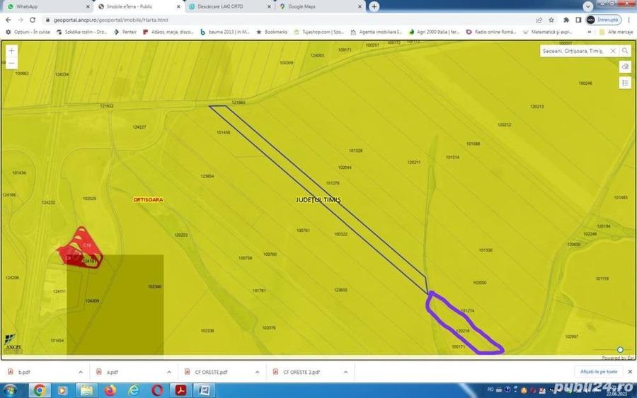 Teren de 50000 mp, în Seceani