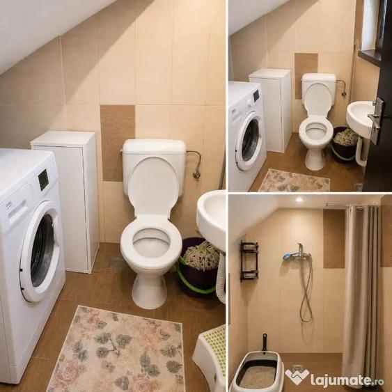 Casă cu 3 camere cu Teren 540 Mp în Vidra