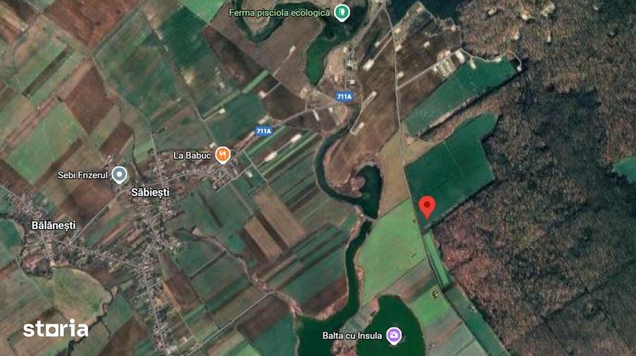 Teren de 33000 mp, în Răcari
