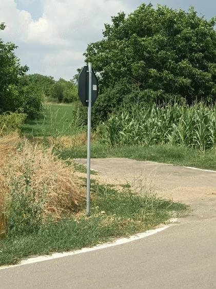 Teren de 3400 mp, în Daia