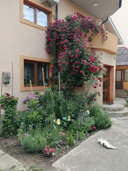Casă individuală cu 5 camere cu Teren 500 Mp în Valu lui Traian
