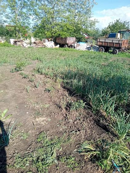 Casă cu Teren 2000 Mp în Mereni