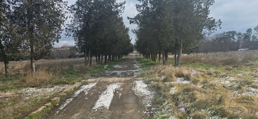 Teren Construcții intravilan de 49284 mp, în Agigea