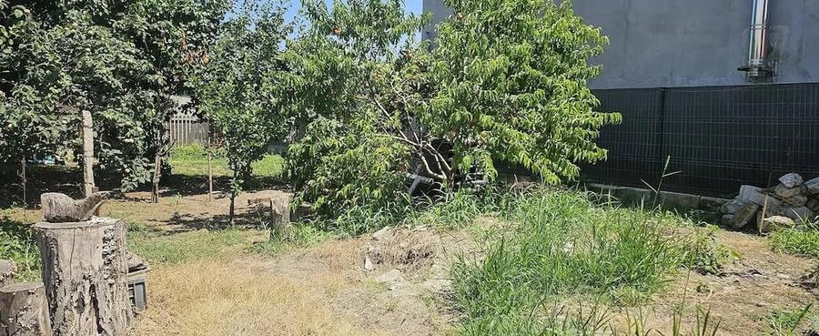 Casă cu Teren 533 Mp în Central
