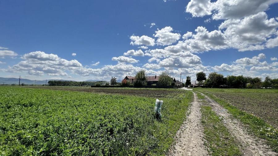 Teren Construcții intravilan de 6772 mp, în Prejmer