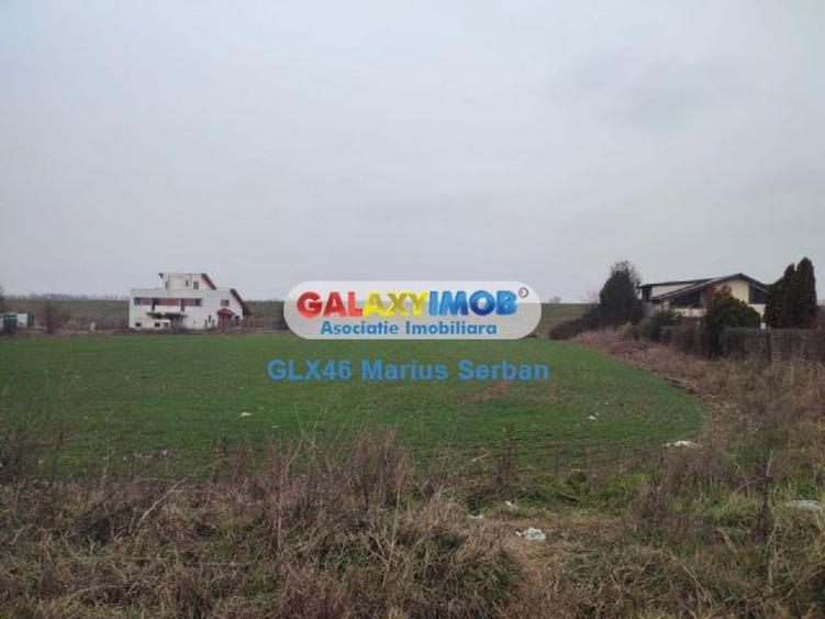 Lot de casa Clinceni - 5