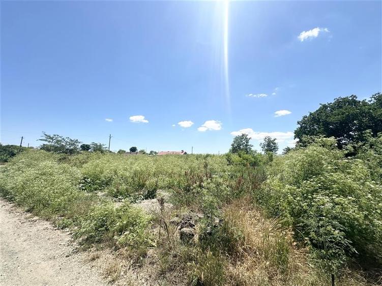 Teren Construcții intravilan de 1700 mp, în Amzacea