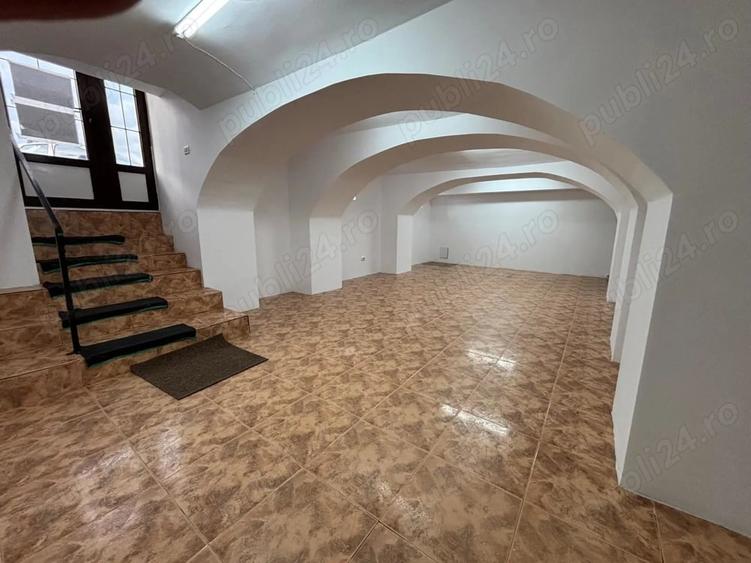 Spațiu comercial, de 100 mp, în Șagului